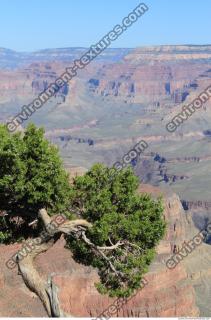 Photo Reference of Background Grand Canyon 0041